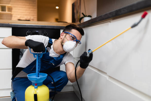 Best Affordable Pest Control Services  in Lake Station, IN