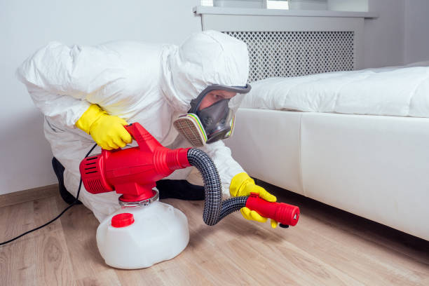 Trusted Lake Station, IN Pest Control Experts