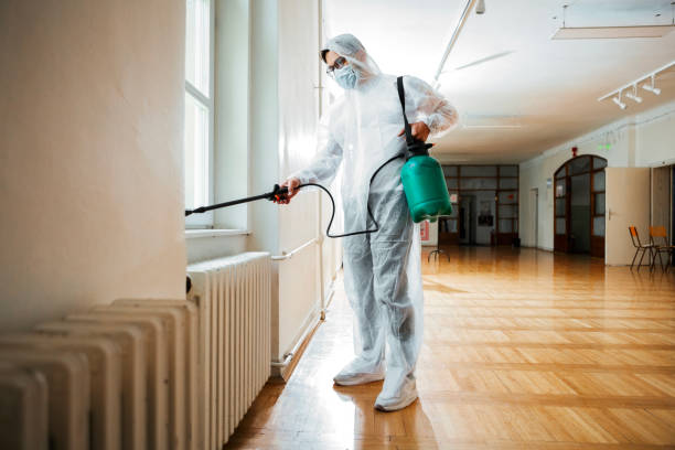 Best Termite Control Services  in Lake Station, IN
